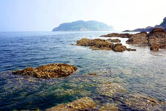 佳佳 民谣 背后的故事 - 解答你的日常疑问