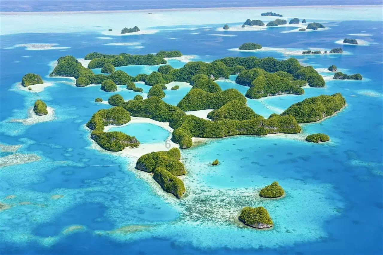 光明记忆